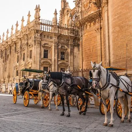 Nino De Guevara's Andalusian Charm: The Essence Of City Center * Málaga